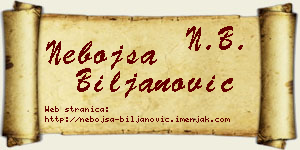 Nebojša Biljanović vizit kartica